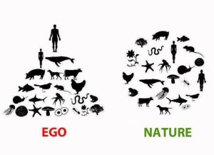ego-nature