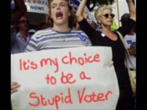 its-my-choice-to-be-a-stupid-voter