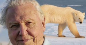sir-david-attenborough-the-hunt-main