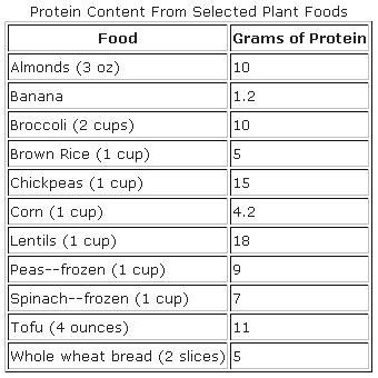 protein-vegan