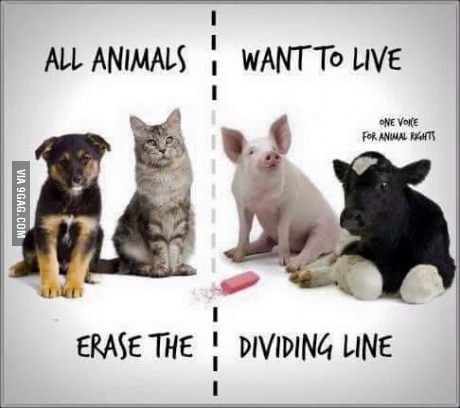 erase.the.dividing.line