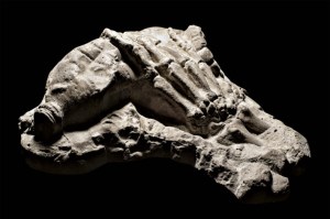 fossil.hand