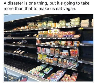 cleared.houston.shelves