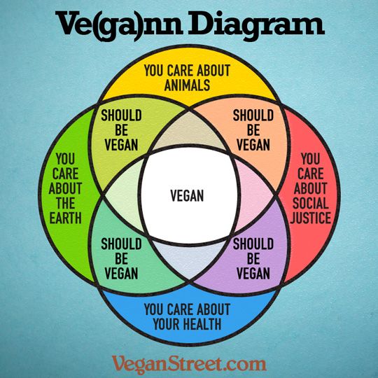 vegann.diagram.veganstreet