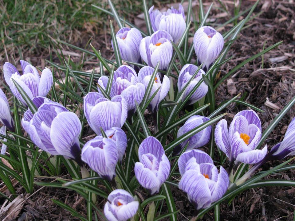 We Call It&nbsp;Vision